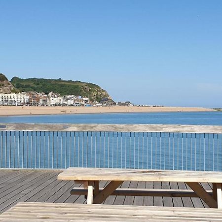 Beautiful Garden Apartment In Leafy St Leonards 5 Mins To Beach Exteriör bild